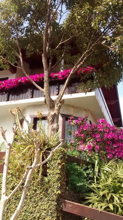 Hospedaria Gastehaus Enzian Трезі-Тіліас Екстер'єр фото